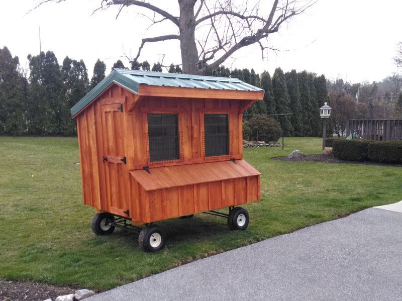 5x6 Chicken Coop for sale