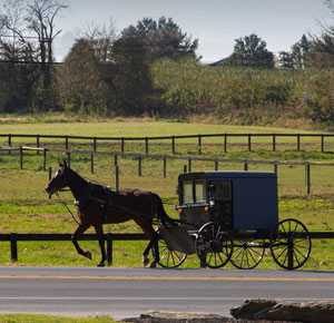 horse and buggy